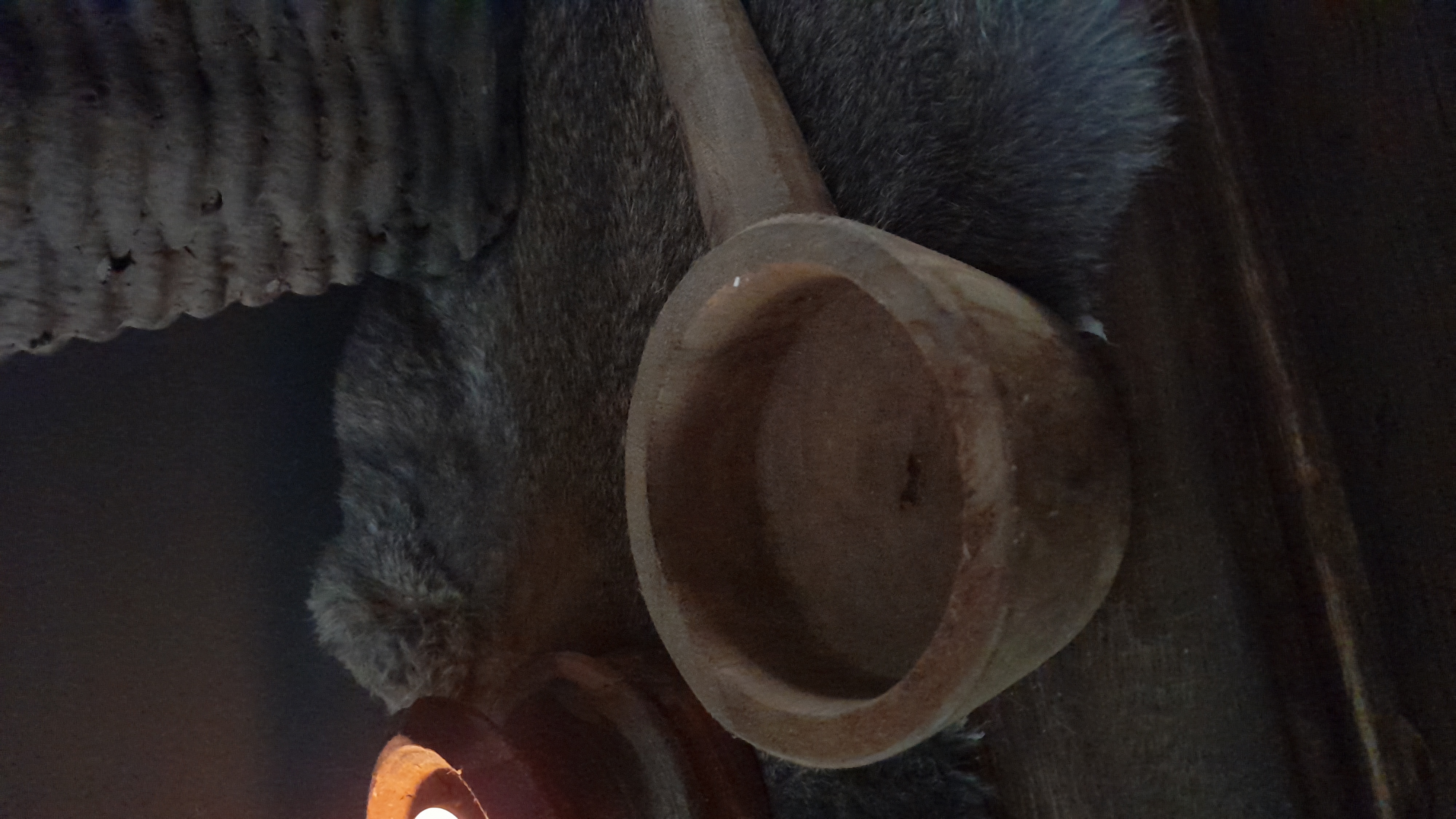 Wooden spoon