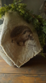 Shabbydoek egel