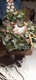 Kip op het nest