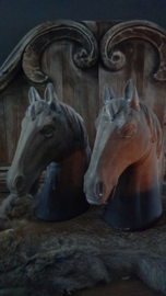 Paarden buste