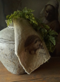 Shabbydoek egel