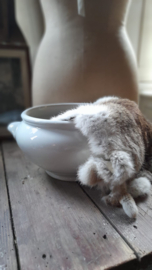 Grote pot