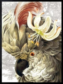 Vanilla Fly Poster - White parrot - 30x40 cm B-keuze