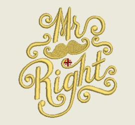 Handdoek "Mr Right"