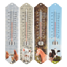 Thermometer paard Esschert Design 6,4 *1,4*29,7 cm TH161