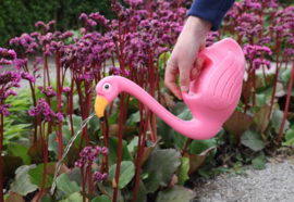 Flamingo gieter(Esschert Design)