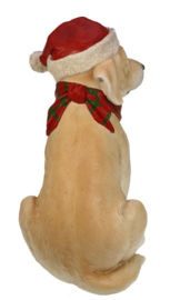 Labrador met kerstmuts