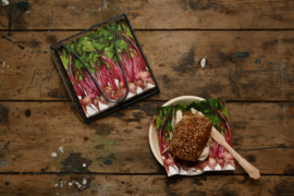 Wegwerp palmbladbordjes S Esschert Design