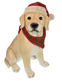 Labrador met kerstmuts