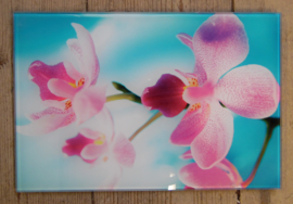 Wanddecoratie orchideeën