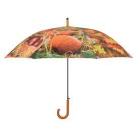 Paraplu's 