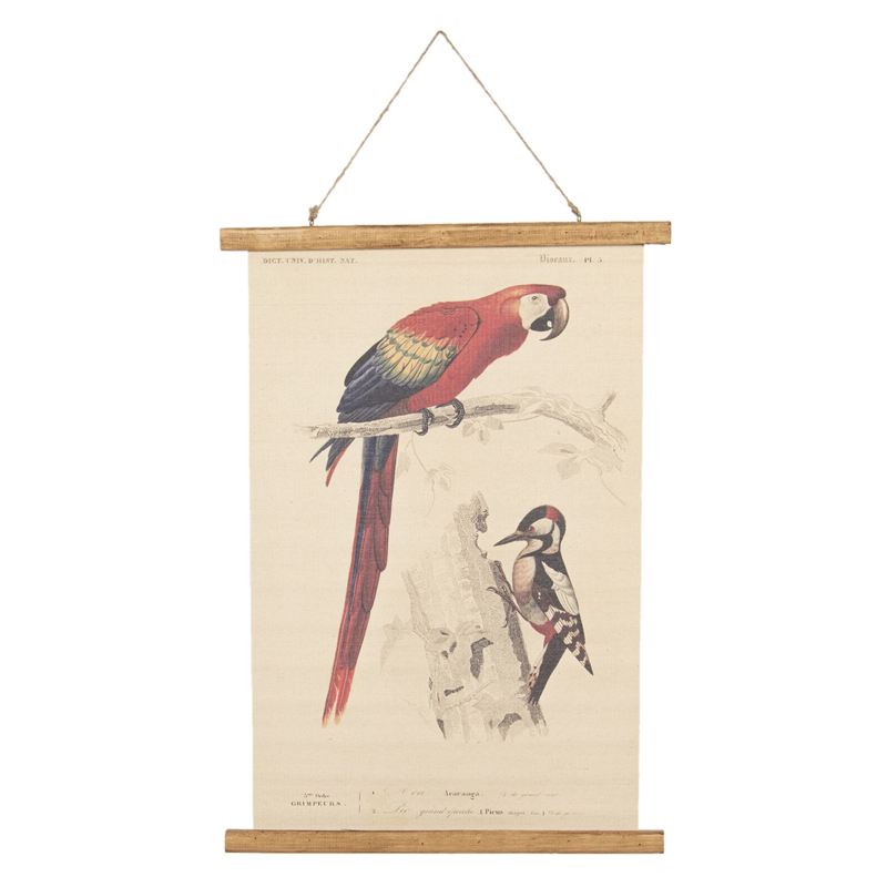 Wandkaart papegaai en specht (Clayre & Eef)