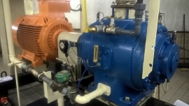 Biogas compressor
