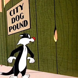 Nr.0454 --16mm-- Dog Pounded Tweety jaar 1954, zwartwit Engels gesproken, Ned.titels op spoel en in doos