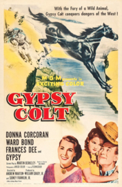 A0214 en A0215, 2 delen --16mm-- Gypsy Colt 1953  Western / Familie speelduur 72 minuten, redelijk van kleur, Engels gesproken met Ned.ondertitels compleet met begin/end titels op spoelen en in doos