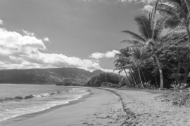 A0188 --16mm-- korte reisfilm,,mooi Hawai,, zwartwit Engels gesproken compleet met begin/end titels speelduur 10 min. op spoel en in doos