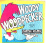 Nr.7087 --Super 8 sound - Convict Concerto Woody Wood Pecker muziek tekenfilm, Kleur Engels geluid ca 60 meter op spoel in  doos