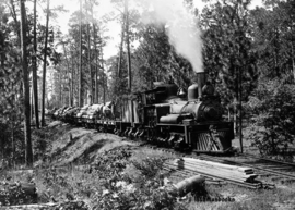 Nr.6605 - Super 8 silent ,, The Grazy Keystone Railroads,, 90 meter zwartwit Silent in orginele doos