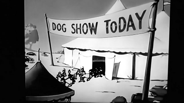 K.162 --16mm-- The Dog Show, tekenfilm van Terrytoons film, mooie zwartwit copy, speelduur 6 minuten, goede copy compleet met begin/end titels, op kern
