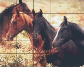 PE 0112  Vier paarden