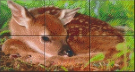 PE 0032 Bambi