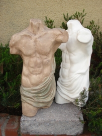 CR 165 Torso