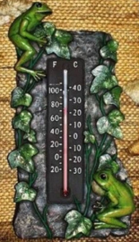 S 3604 Kikker thermometer