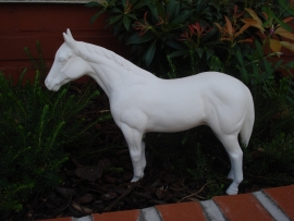 DH 1456 Quarter horse