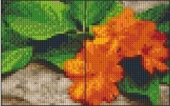 SS 0214 oranje bloemen