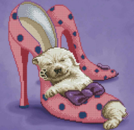 hondje in pumps