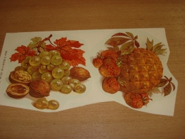 Transfer: Fruit druiven noten - ananas aardbei