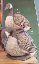 J 1948-45  medium Canadese gans  hoofd recht