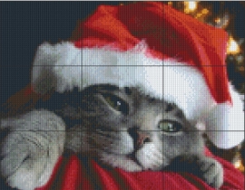 PE  0121  Kerstpoes