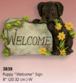 S 3838 Welcome schild met hond