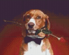 PE 0072 Hond met roos