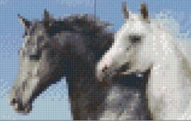SS 0165 Zwart - wit paard
