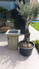 Bijzet haard /vuurtafel