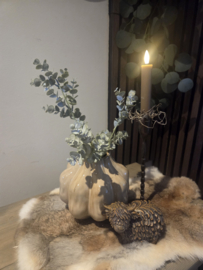 Taupe vaas met eucalyptus tak