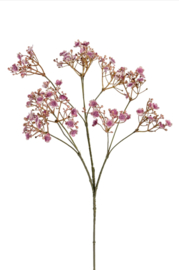Gipskruid mauve/paars/roze