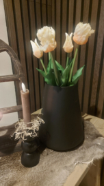 Tulp crème 5 stelen