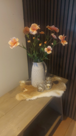Boter bloem peach