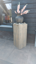 Zuil 100x42x42