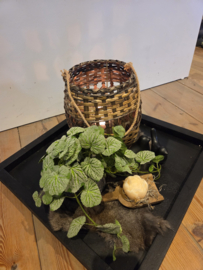 Dienblad vierkant compleet