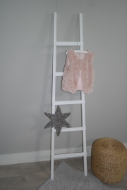 Fruit ladder 170x40 wit
