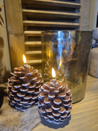 Led denneappel middel en groot
