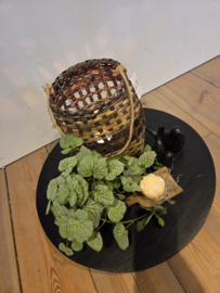 Dienblad rond compleet