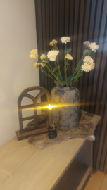 Korenbloem crème