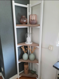 Hoekladder wit met loogbeits