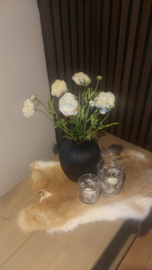 Bosje ranonkel wit