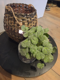 Dienblad rond compleet